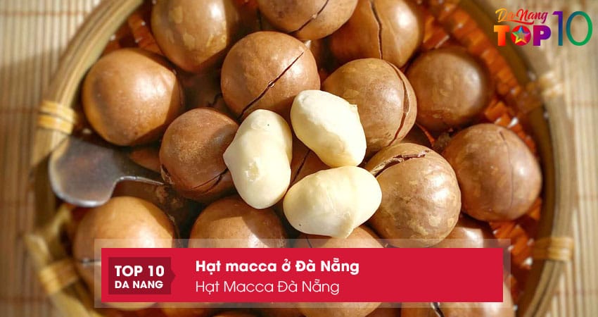 Hat-macca-da-nang-top10danang