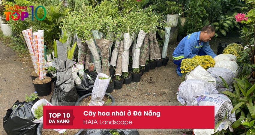 Hata-landscape-top10danang