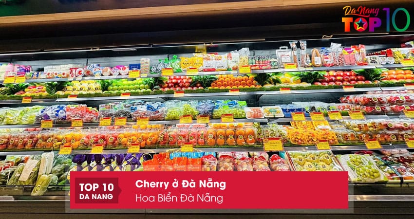 Hoa-bien-da-nang-top10danang