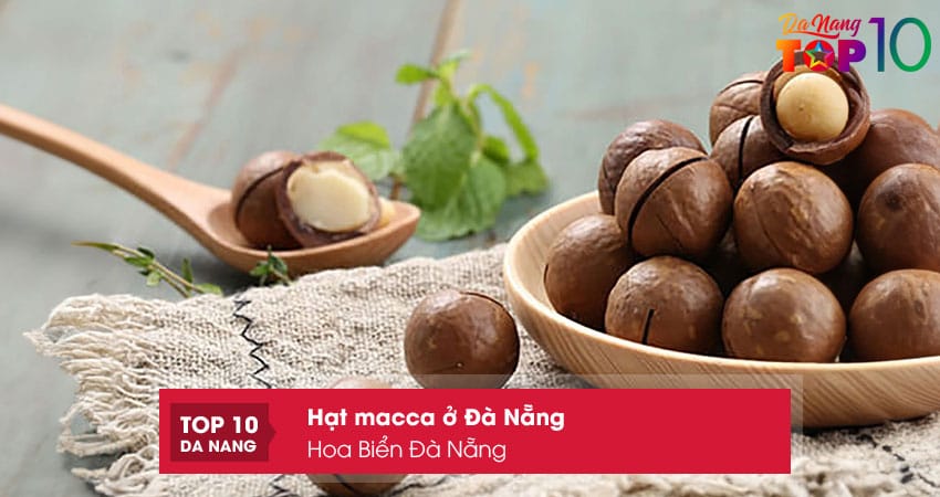 Hoa-bien-da-nang-top10danang