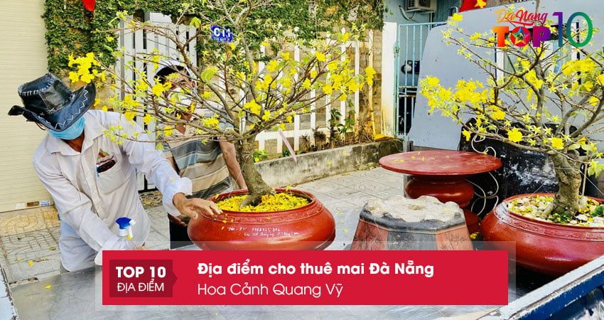 hoa-canh-quang-vy-top10danang