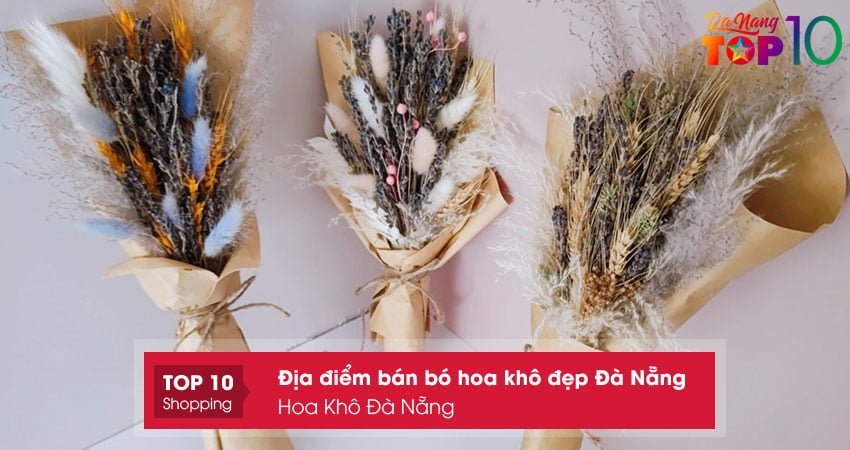 hoa-kho-da-nang-top10danang