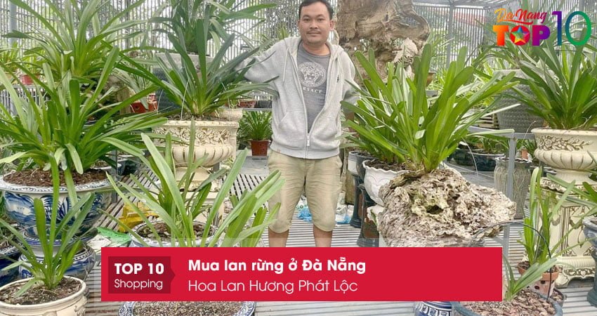 hoa-lan-huong-phat-loc-top10danang