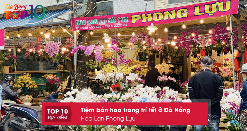hoa-lan-phong-luu-top10danang