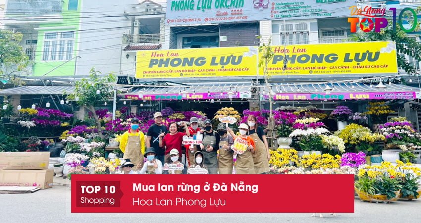 hoa-lan-phong-luu-top10danang