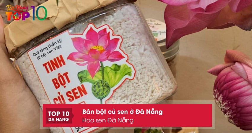 Hoa-sen-da-nang-top10danang