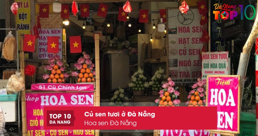 Hoa-sen-da-nang-top10danang