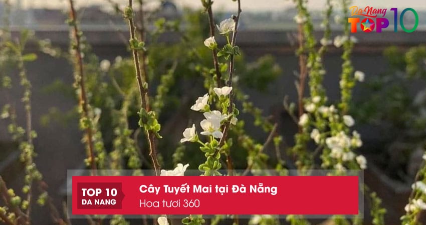 Hoa-tuoi-360-top10danang