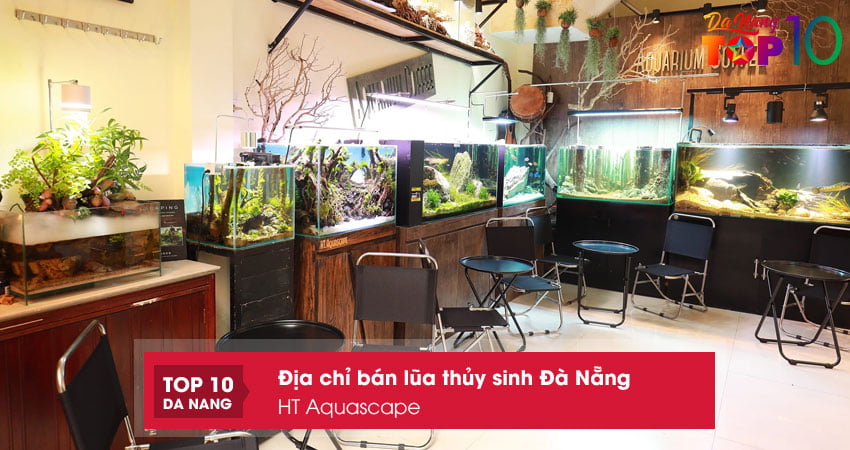 Ht-aquascape-top10danang