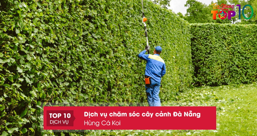 hung-ca-koi-cham-soc-cay-canh-tai-da-nang-top10danang