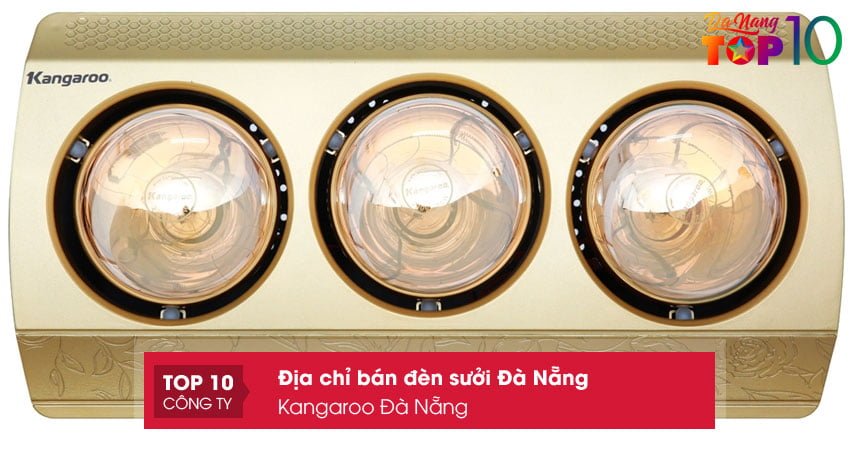 kangaroo-da-nang-den-suoi-da-nang-ben-dep-top10danang