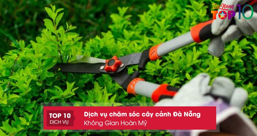 khong-gian-hoan-my-cat-tia-cham-soc-cay-canh-da-nang-top10danang