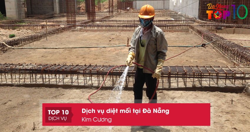 kim-cuong-dich-vu-chuyen-nghiep-diet-moi-tai-da-nang-top10danang