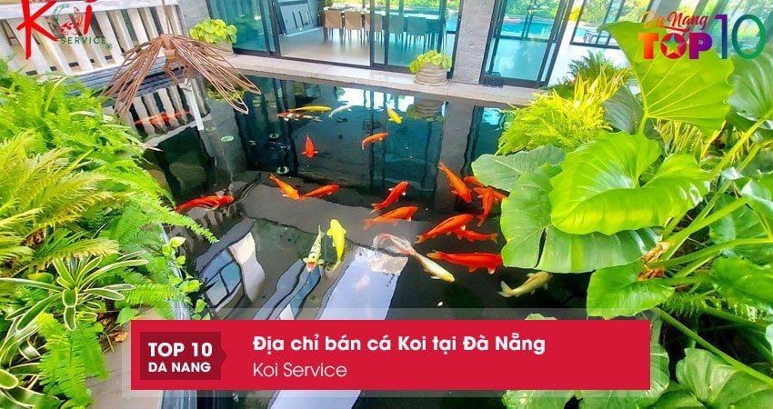 koi-service-top10danang