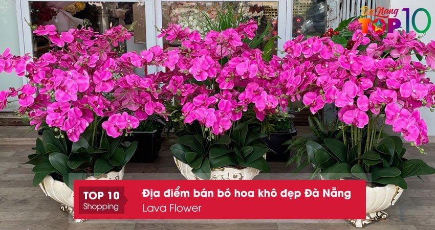 lava-flower-top10danang