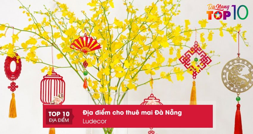 ludecor-cho-thue-hoa-mai-gia-da-nang-top10danang