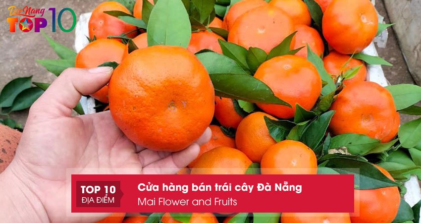 mai-flower-and-fruits-top10danang
