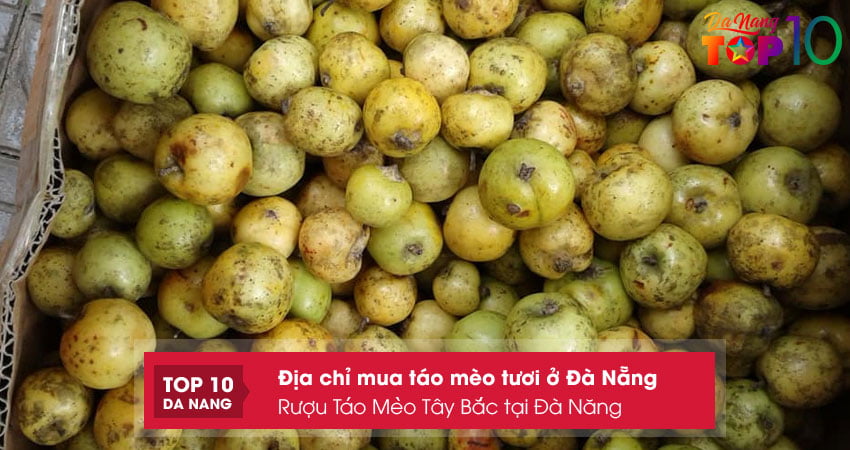 Minimart-kim-lien-mua-tao-meo-tuoi-o-da-nang-chat-luong-top10danang