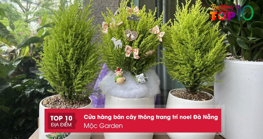 moc-garden-ban-cay-thong-trang-tri-noel-da-nang-gia-tot-top10danang