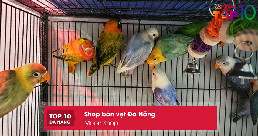 Moon-shop-top10danang