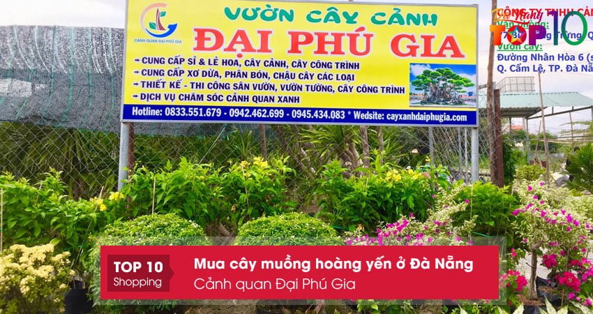 mua-cay-muong-hoang-yen-o-da-nang-canh-quan-dai-phu-gia-top10danang