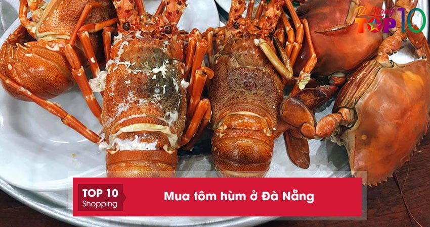 Mua tôm hùm ở Đà Nẵng | 15+ địa chỉ bán tươi sống giá rẻ