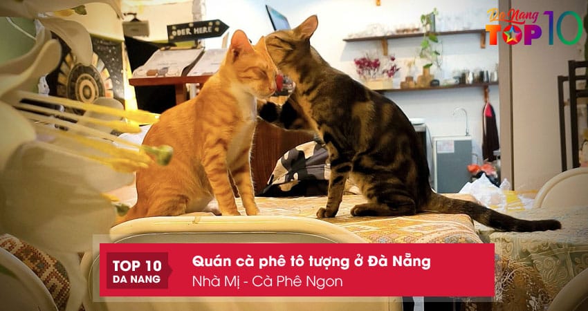 Nha-mi-ca-phe-ngon-top10danang
