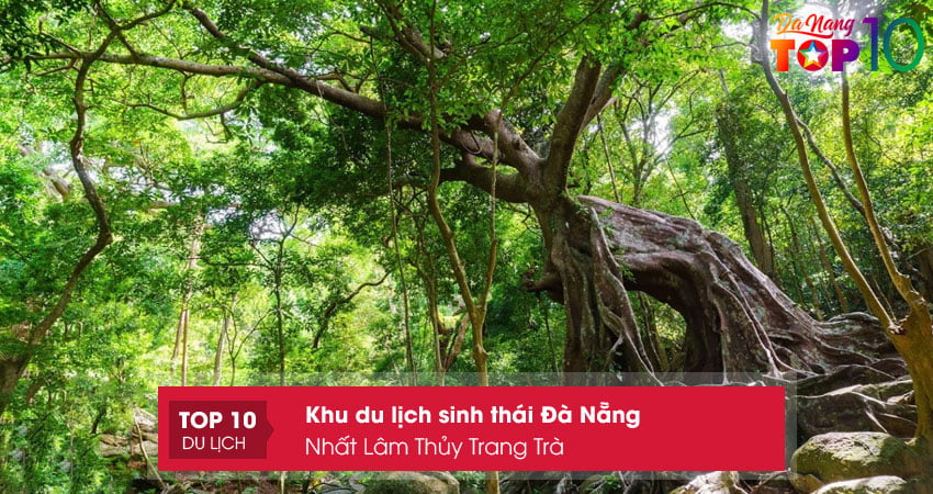nhat-lam-thuy-trang-tra-top10danang