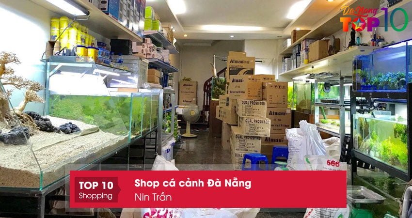 nin-tran-shop-ca-canh-da-nang-uy-tin-top10danang