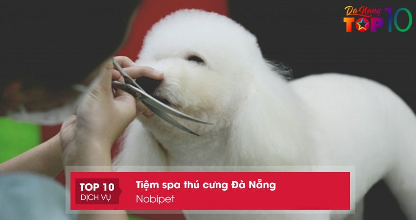 nobipet-spa-thu-cung-da-nang-noi-tia-long-cho-dep-top10danang