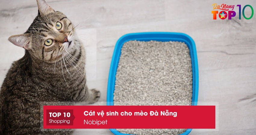 nobipet-top10danang