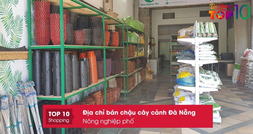 nong-nghiep-pho-ban-chau-cay-canh-da-nang-top10danang