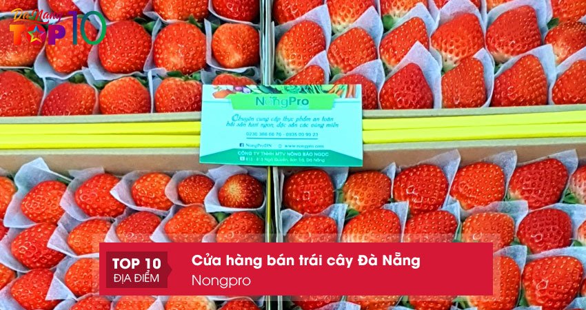 nongpro-top10danang