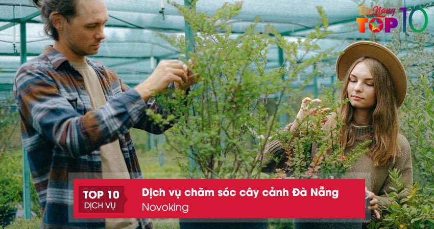 novoking-chuyen-cat-co-cham-soc-cay-da-nang-gia-re-top10danang