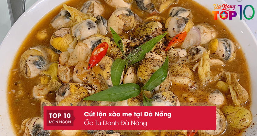 oc-tu-danh-da-nang-top10danang