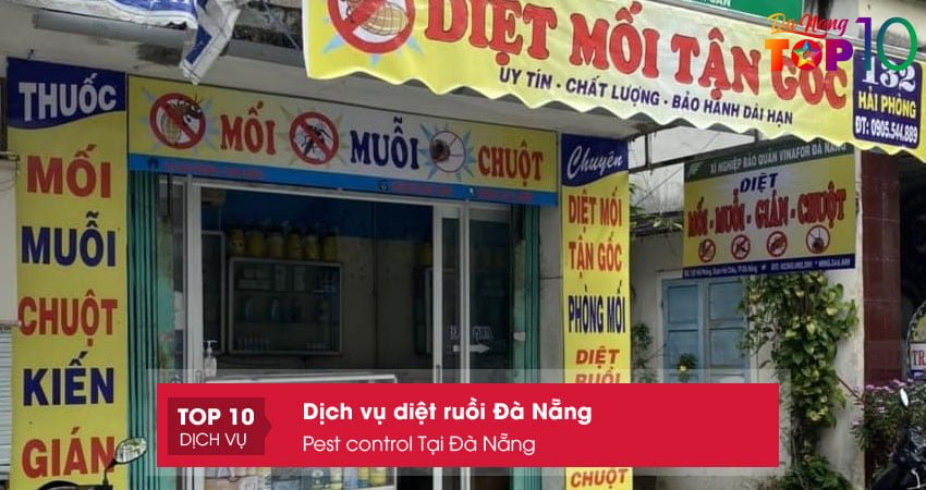 pest-control-tai-da-nang-top10danang