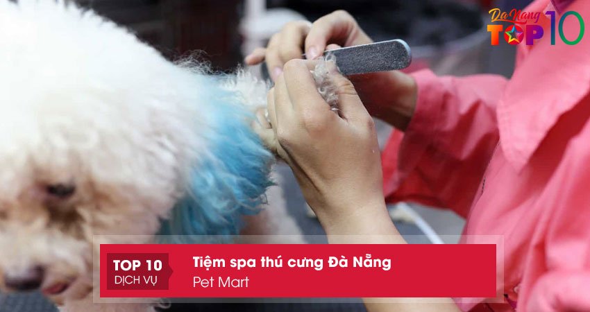 pet-mart-sieu-thi-thu-cung-tai-da-nang-top10danang