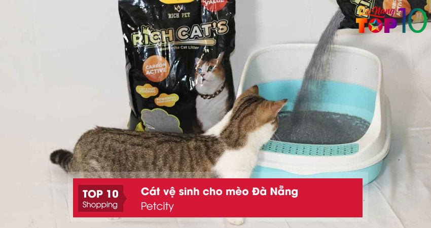 petcity-top10danang