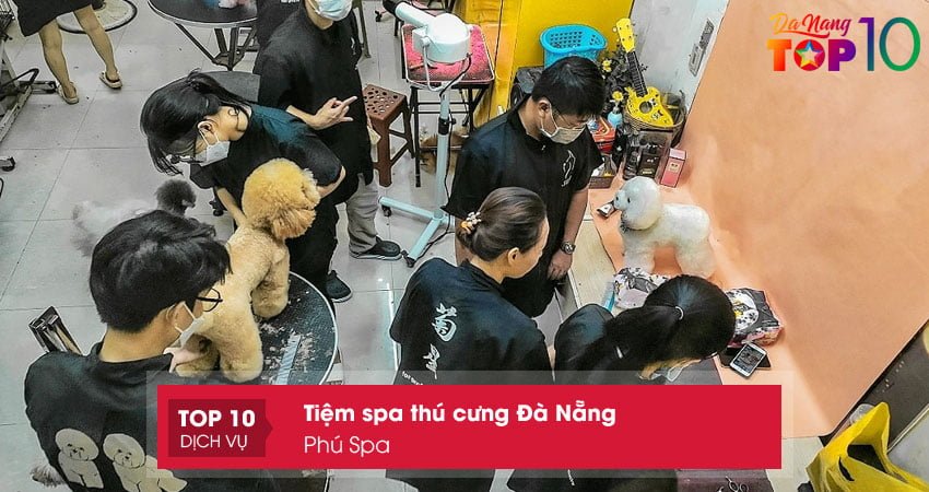 phu-spa-cat-tia-long-cho-meo-tai-da-nang-top10danang