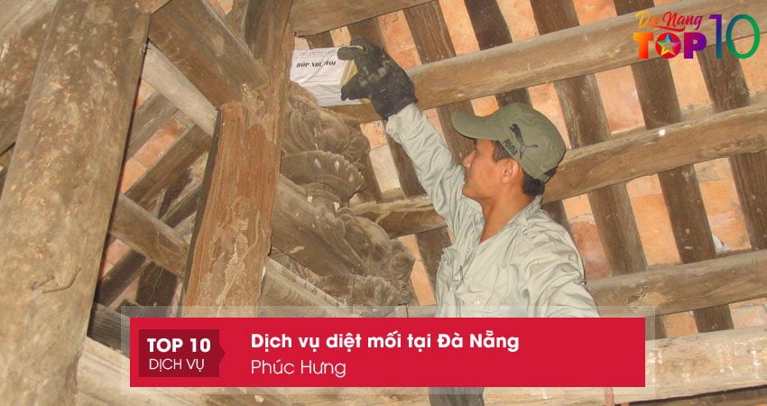 phuc-hung-dia-chi-uy-tin-diet-moi-tai-da-nang-uy-tin-top10danang