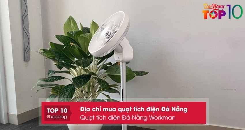 quat-tich-dien-da-nang-workman-top10danang