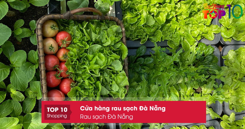 rau-sach-da-nang-top10danang
