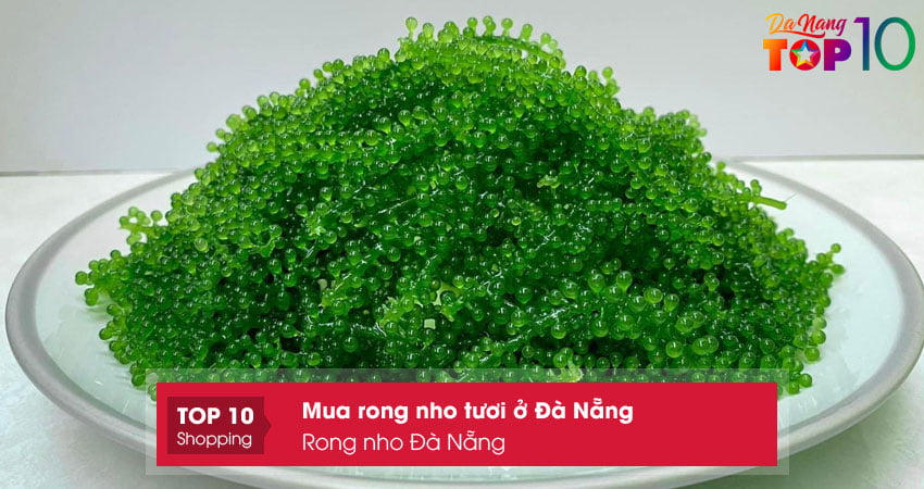rong-nho-da-nang-top10danang