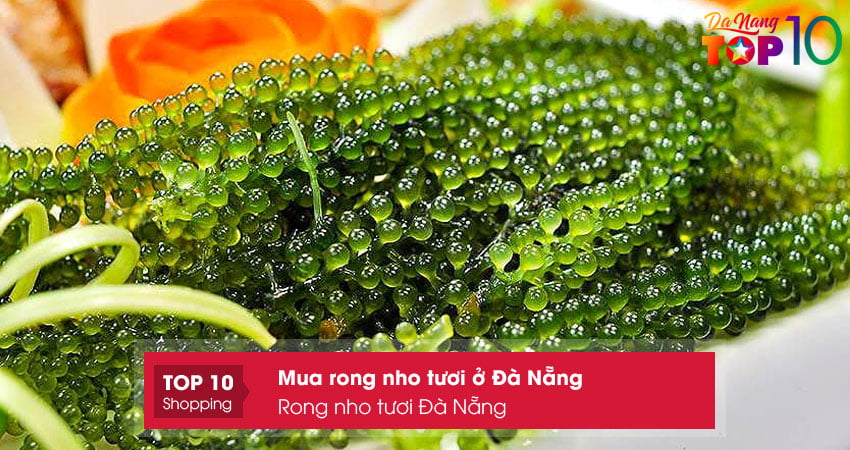 rong-nho-tuoi-da-nang-mua-rong-nho-tuoi-o-da-nang-gia-re-top10danang