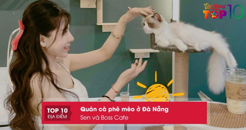sen-va-boss-cafe-quan-ca-phe-meo-o-da-nang-dep-top10danang