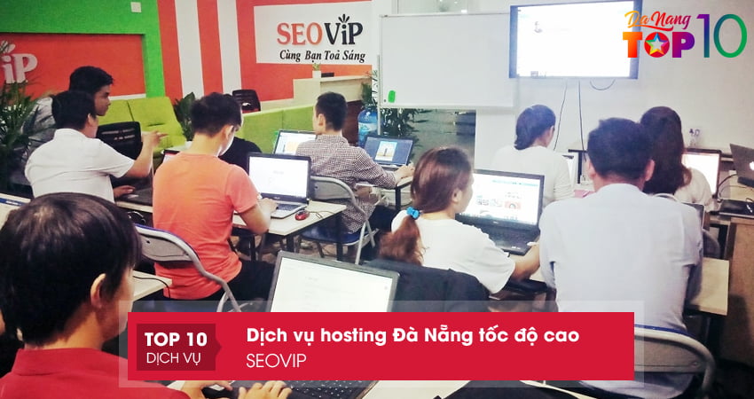 seovip-dich-vu-hosting-da-nang-toc-do-cao-top10danang