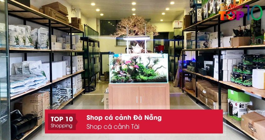shop-ca-canh-tai-shop-ca-canh-da-nang-chat-luong-top10danang
