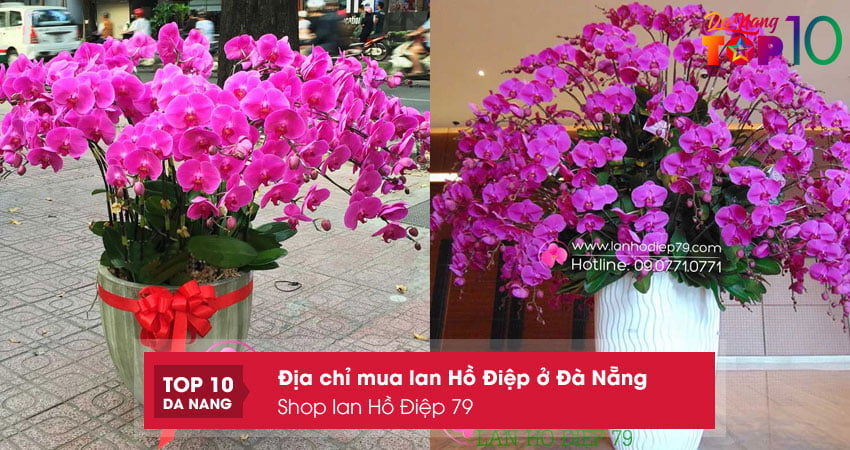 Shop-lan-ho-diep-79-top10danang
