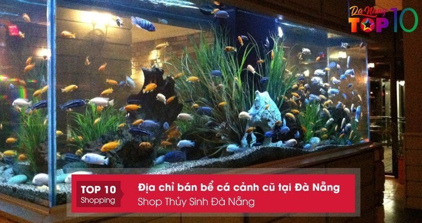 shop-thuy-sinh-da-nang-top10danang