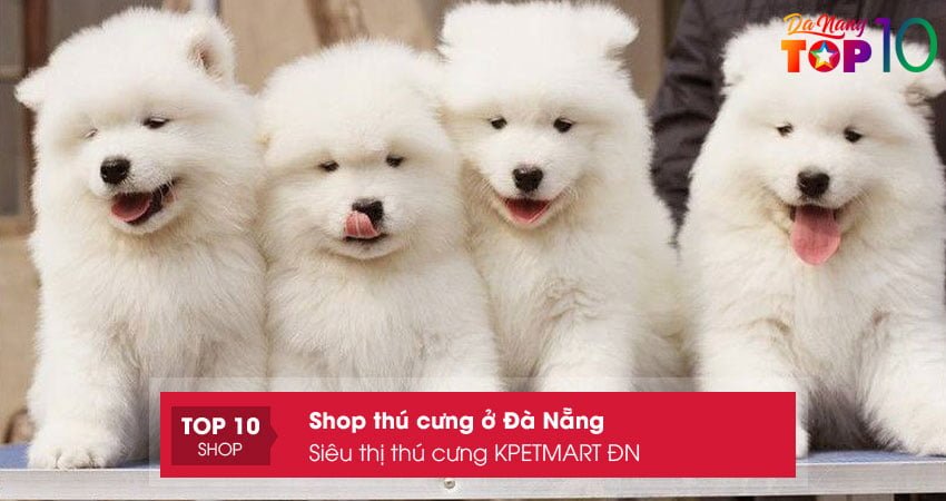sieu-thi-thu-cung-kpetmart-dn-top10danang